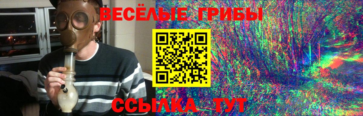 Псилоцибиновые грибы мухоморы  Вход с VPN  Старая Купавна 