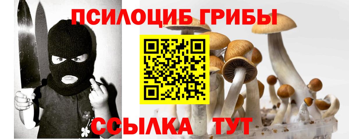 Галлюциногенные грибы MAGIC MUSHROOMS Старая Купавна